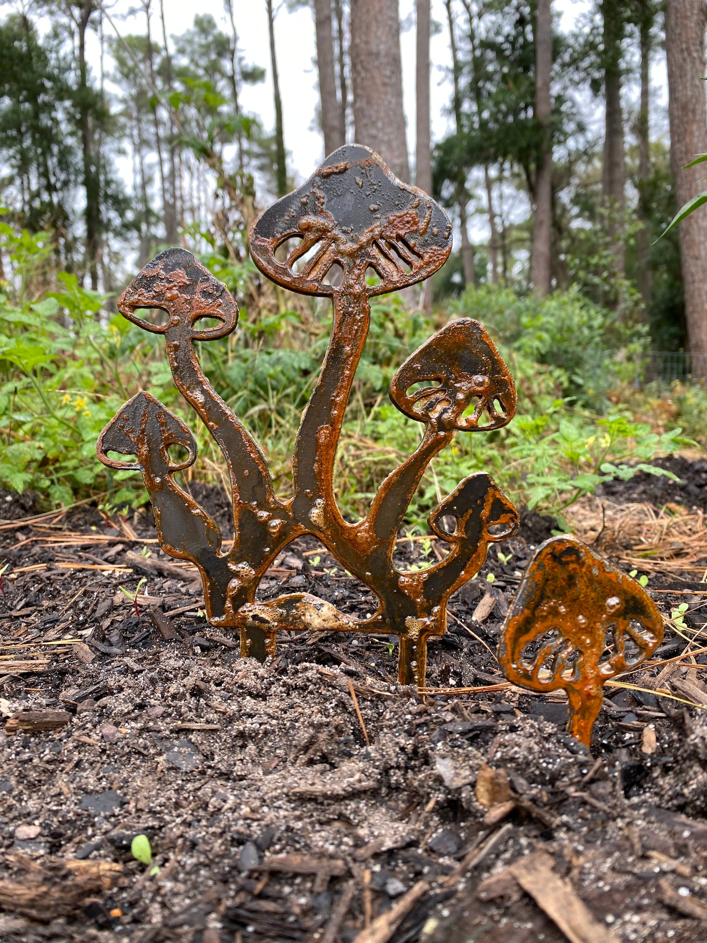 Fairy ring of mushroms garden art