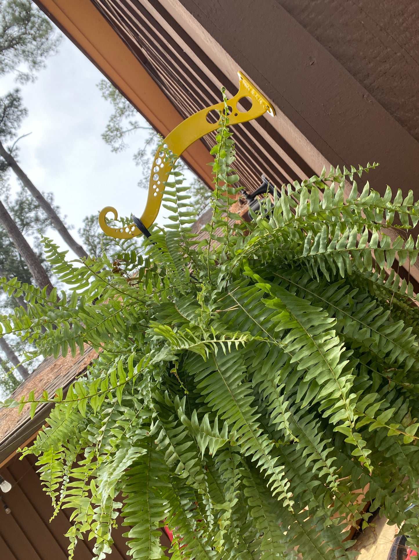 Tentacle Plant Hanger