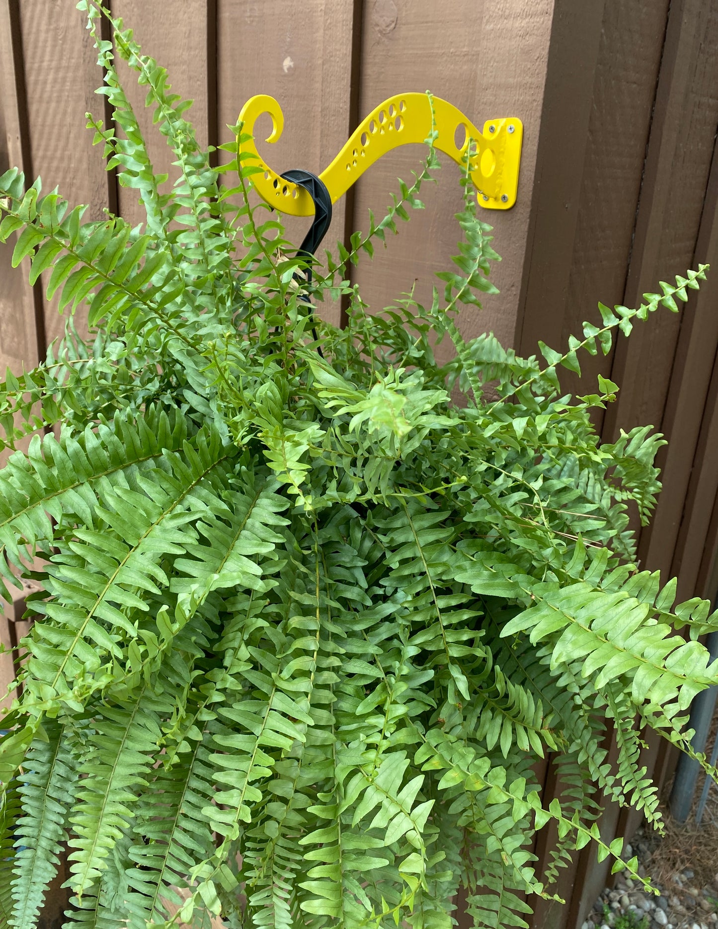 Tentacle Plant Hanger