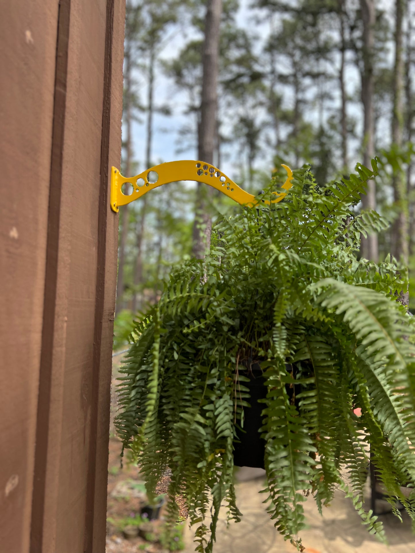 Tentacle Plant Hanger