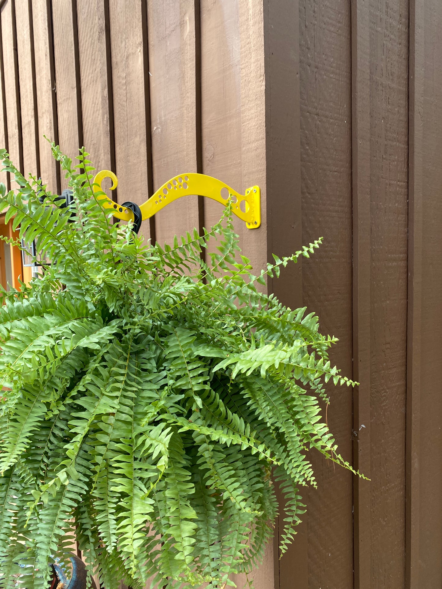 Tentacle Plant Hanger